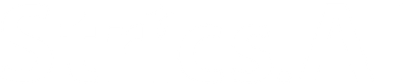 Strics.AI